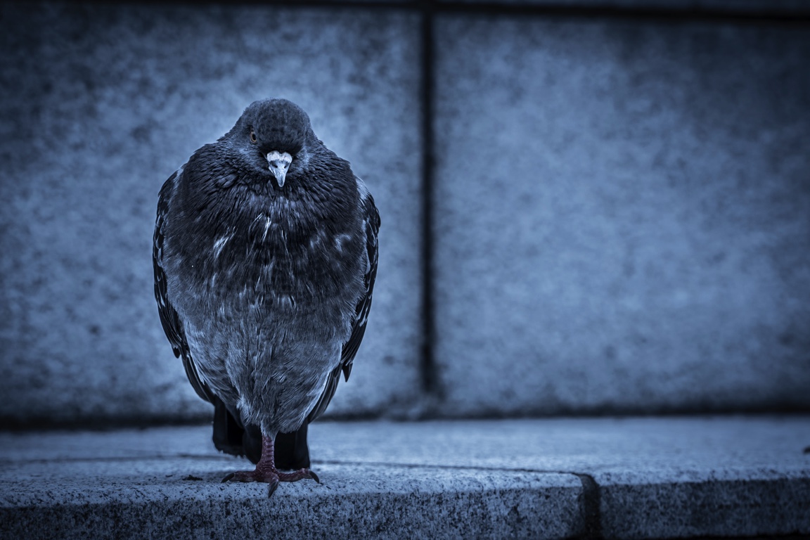 20190713 TN_04258_shrink